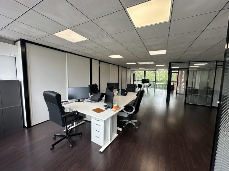 1779090062_LP310_6_original.jpg